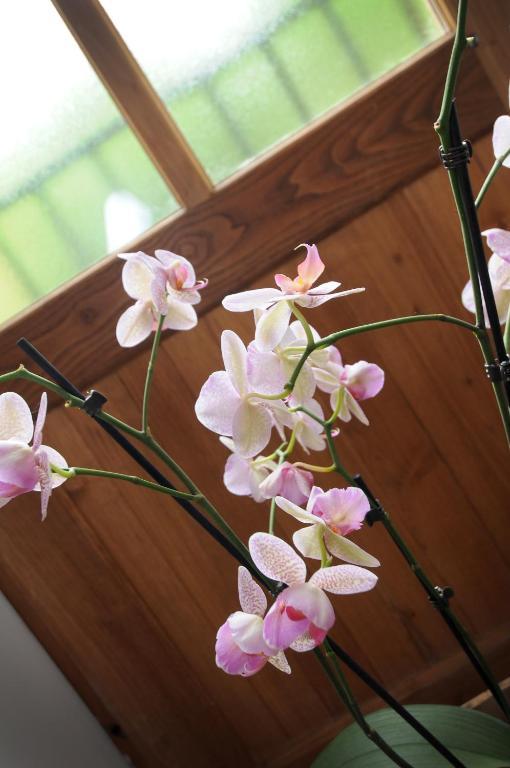 Les Songes De L'Abbaye Bed & Breakfast Cadouin Phòng bức ảnh